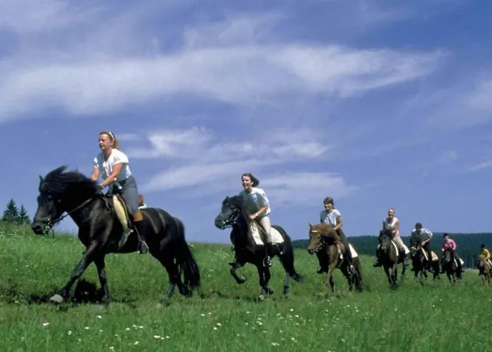 Haus Auer * ワイレック